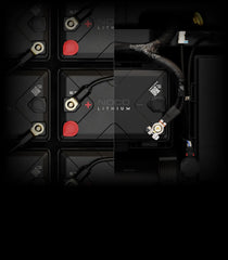 NLX24