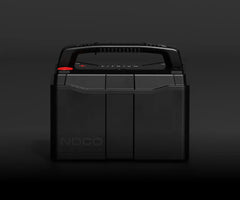 NLX31